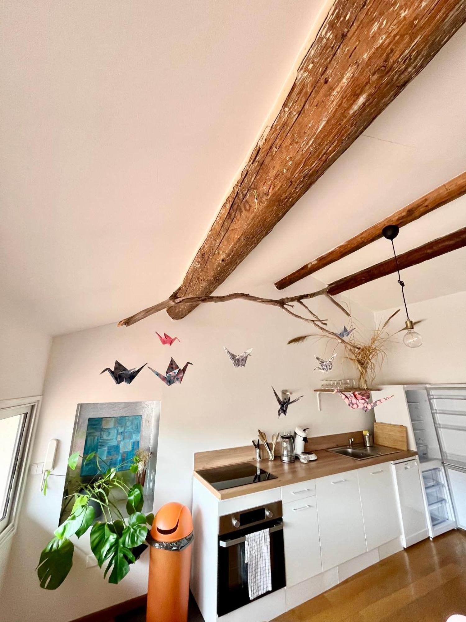 A Spacious, Sunny & Calm Loft In Avignon'S Heart Εξωτερικό φωτογραφία